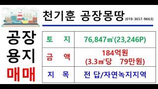 [전북특별자치도공장창고용지_토지매매] 전북특별자치도 전주시 덕진구 고랑동- 76,847㎡(약23,246P)_ 184억(P당79만)#전북공장물류창고용지매매#천기훈공장몽땅