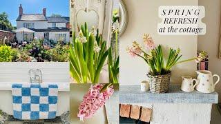 Spring Refresh: 8 Simple Tips To Update Your Home For Spring 