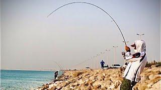 New specie unlock!! | Heavy ray on Shimano Dialuna medium light setup | Fishing at Dammam KSA