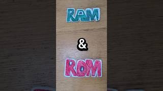 Can You Guess What RAM and ROM Really Do?