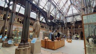 Oxford University Museum of Natural History & Pitt Rivers Museum