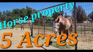  HORSE property for sale in Temecula Ca. 5 ACRES 