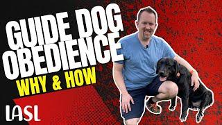 Why Working on Obedience with Your Guide Dog is Important