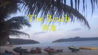 Scenery: Beach / Zhenzhen Projects #96