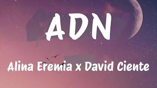 Alina Eremia x David Ciente - ADN (Versuri/Lyrics)