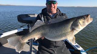 Personal Best Walleye on Missouri River