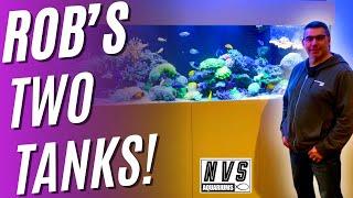 Rob's Two Tanks! - Plus NVS Aquarium Lids