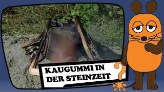 Steinzeit-Kaugummi