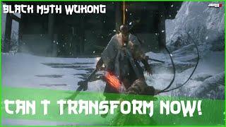 Transformations Don't Work Against Erlang Anymore in New Challenge Mode DLC - Black Myth Wukong