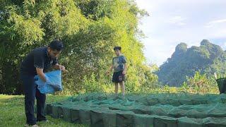 How to catch crabs and small fish in streams, make food, simple life in the mountains and forests