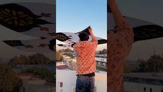 6 Feet Kite Flying || Kite Fight.  #patang #kite #kiteflying