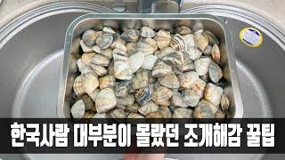 조개를 해감할 때 소금만 넣지마세요, 미친듯이 모래를 뿜어내는 방법을 나이 든 어부가 내게 가르쳐줬습니다