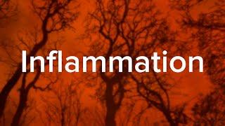 How Inflammation Affects Your Health - Yale Medicine Explains