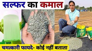 फसलों मे सल्फर का सही प्रयोग| Gromor Sulphamax | Sulphur fertilizer | sarso ki kheti | gehu ki kheti