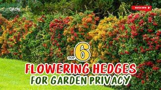 TOP 6 Flowering HEDGES for Garden Privacy  // Gardening Ideas