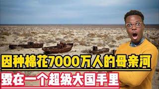 因截流种棉花，7000万人的母亲河，就这样毁在一个超级大国手里！