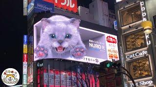 [Japon Découverte] Tokyo, JR Shinjuku Station East Exit : 3D Cat Billboard