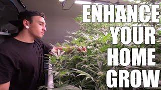 7 Grow Room Essentials for Growing Cannabis At Home