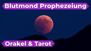 Blutmond ️Vollmond  mit totaler Mondfinsternis  Prophezeiung. Was transformiert sich jetzt? ️