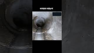 바퀴벌레 비행능력 #shorts #하수도#바퀴벌레#나방파리#하수구