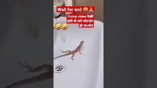 funny  video छिपकली#video #sachin Mourya #trending #2022 Antv active Rahul