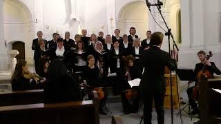 Schütz Kammerchor Würzburg: Weihnachtshistorie Introduktion