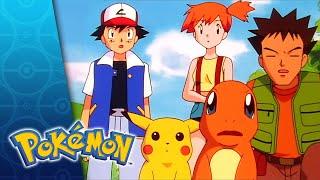 Charmander—the Stray Pokémon | FULL EPISODE 11 | Season 1