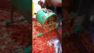 Amazing Carrot Cutting Hand Machine 