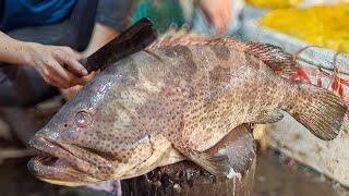 Unbelievable Cutting Style || Amazing Giant Grouper Fish Cutting Skills Live In Fish Market ||