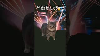 Spinning Cat EDM Anthem (OO EE A E A Dubstep Mix) | Viral Meme Dance Track!  #edm #electronicmusic