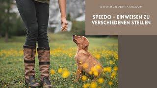 Speedo - Einweisen zu verschiedenen Stellen