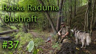 #radunia #obozowanie #bushraft  Bushraft nad rzeką Radunią