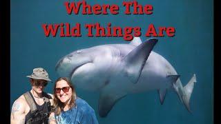 Guadalajara Zoo Aquarium Tour | Moving To Mexico