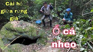 Câu cá trong hang giữa rừng già | Gặp gỡ những con vật ghê rợn chuyên hút máu .