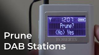 Prune old stations on a digital radio