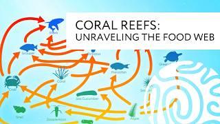 Coral Reefs: Unraveling the (Food) Web