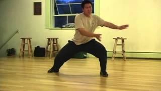 Chen Tai Chi Master Wang Hai Jun demonstration.  Visiting NC Aikido school.