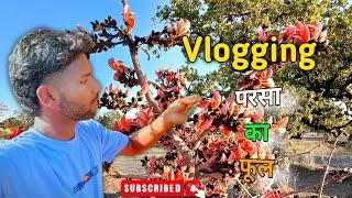 { Vlogging } Vlogs।। परसा का फुल। YouTube vlogs 