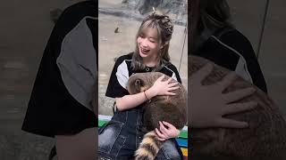 Zheng DanNi with animals #snh48 #gnz48 #gnz48teamniii #snh48teamhii