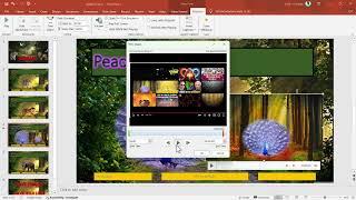 PowerPoint   11   ScreenRecording