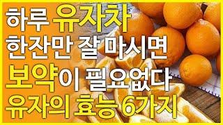 유자의 효능 6가지, 하루 유자차 한잔만 마셔도 보약이 필요없다!