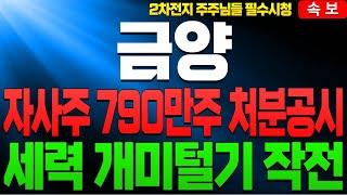 [2차전지] [금양 금양주가 금양주가전망]🟡지금 우리 국내시장 상황과 앞으로 금양 주가의 방향성은?