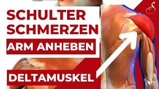 Schulterschmerzen beim Arm anheben - Deltamuskel schmerzen │ SanoGym