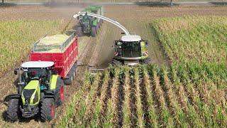 CLAAS JAGUAR 940 bei der Maisernte 2022 / Abfahrer FENDT 820, 724 & CLAAS AXION 830 / 4K