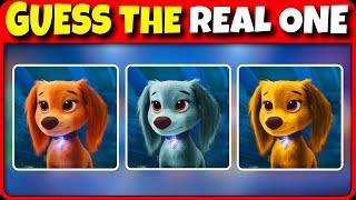 PAW Patrol: The Mighty Movie Quiz - Guess the real one