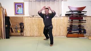 Beginner Stances of the Bujinkan