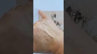 Как сделать паспарту #вероникаполивкина #творчество #декор