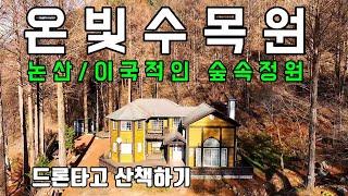 논산여행/온빛 수목원 /이국적인 숲속정원/산책 힐링명소/유명촬영지