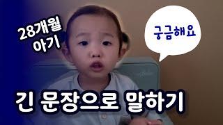 말잘하는 28개월 아기 (-언어수준 5세 후반)