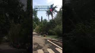 Gulab bagh In one minute #shorts #shortvlog #tour